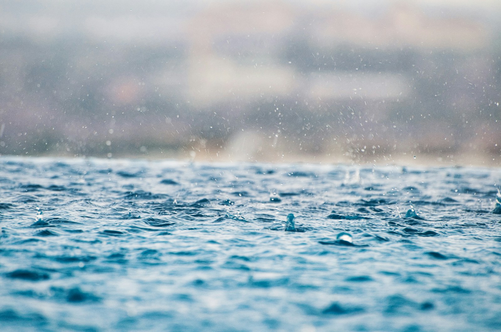 Dit is het belang van regenwateropvang in droge periodes