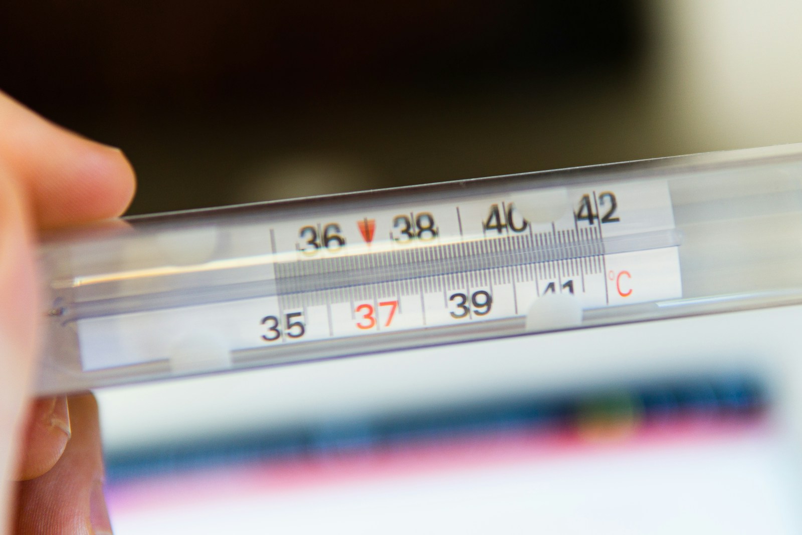 Dit is de impact van temperatuurstijging in Nederland