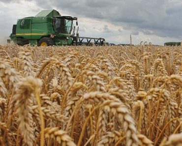 Duurzame landbouw om klimaatverandering tegen te gaan