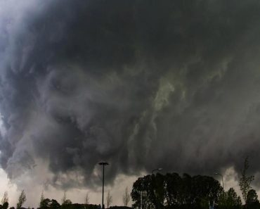 Storm Isha nadert ons land: kans op zeer zware windstoten, schade en overlast