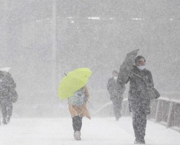 WEERALARM: Het gaat weer flink sneeuwen in Nederland